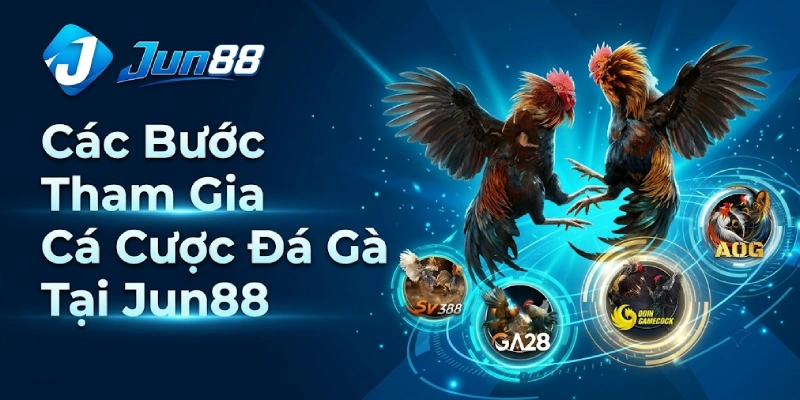Đá Gà Jun88 - Sảnh Xem & Cá Cược Đá Gà Thomo Cựa Dao HOT 2026 4 Các Bước Tham Gia Cá Cược Đá Gà Tại Jun88