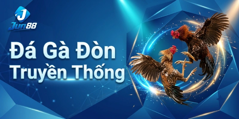 Đá Gà Jun88 - Sảnh Xem & Cá Cược Đá Gà Thomo Cựa Dao HOT 2026 3 Đá Gà Đòn Truyền Thống