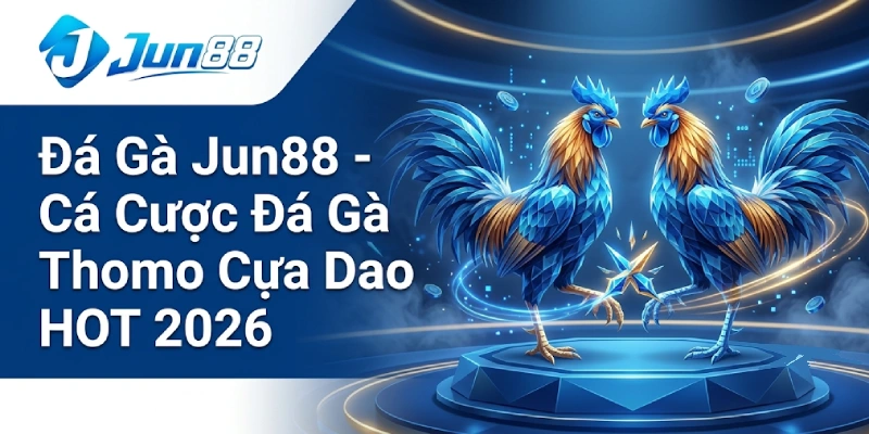 Đá Gà Jun88 - Sảnh Xem & Cá Cược Đá Gà Thomo Cựa Dao HOT 2026 2 Đá Gà Jun88 - Cá Cược Đá Gà Thomo Cựa Dao HOT 2026
